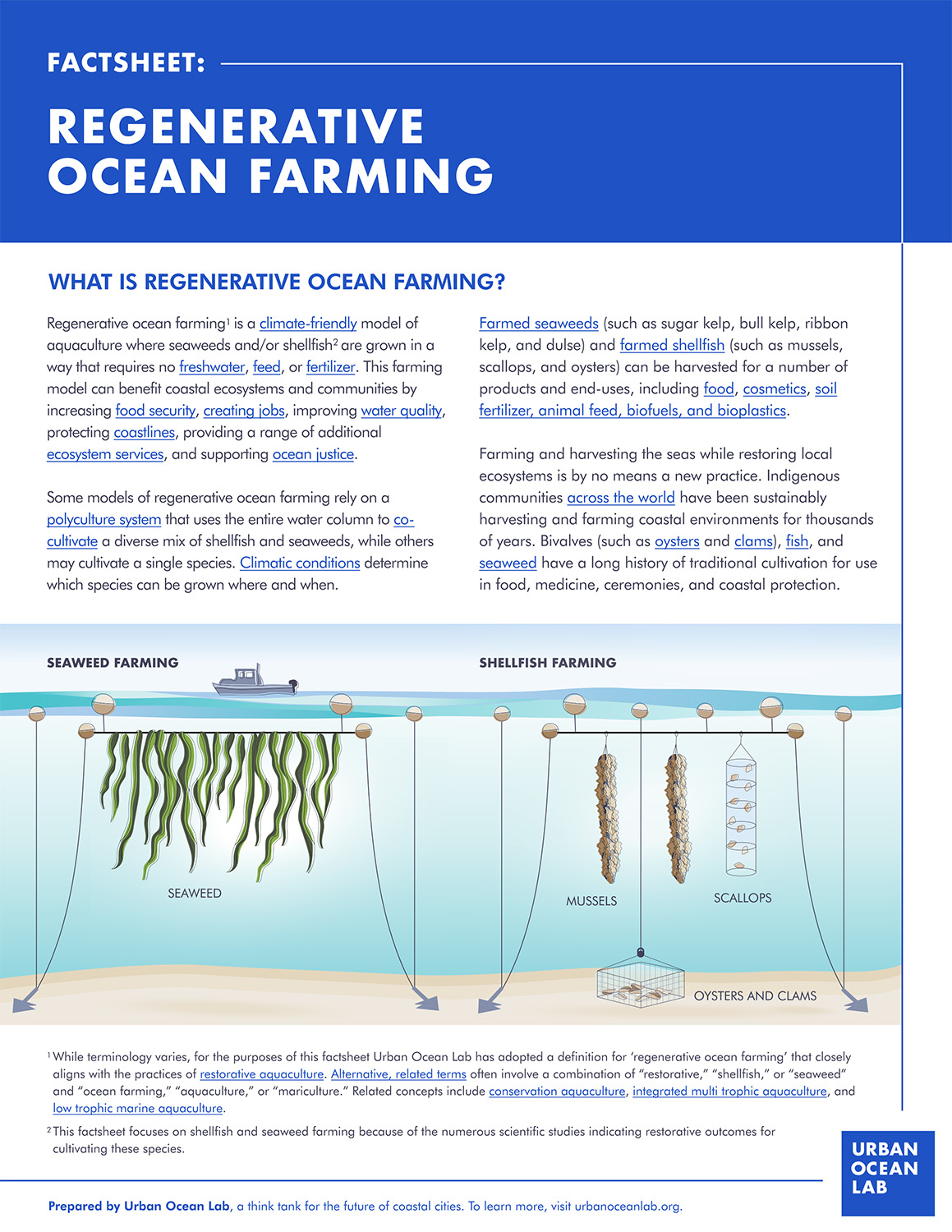 What is Regenerative Ocean Farming?